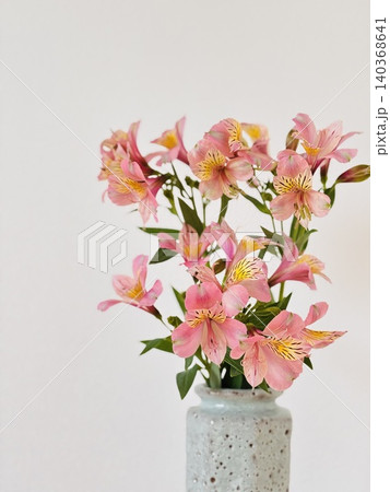 花瓶に入ったアルストロメリア 花瓶に入ったアルストロメリア 140368641