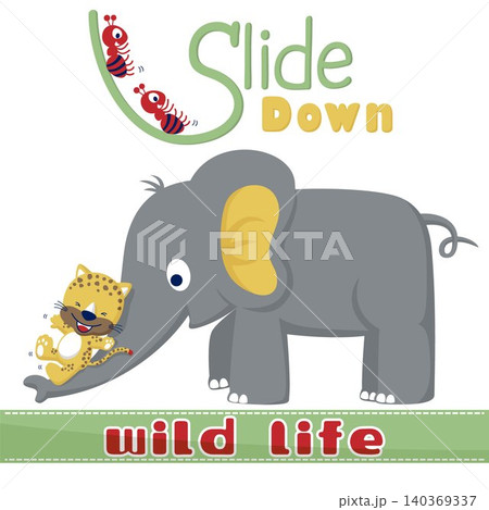 Vector illustration of animals cartoon, cute leopard slide on elephant's trunk, ants slide on letter Vector illustration of animals cartoon, cute leopard slide on elephant's trunk, ants slide on letter 140369337