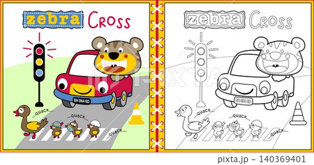 Vector cartoon of duck family cross road, cute cat on car, traffic elements, coloring page or book Vector cartoon of duck family cross road, cute cat on car, traffic elements, coloring page or book 140369401