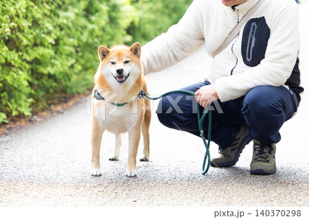 お散歩をしている柴犬 140370298