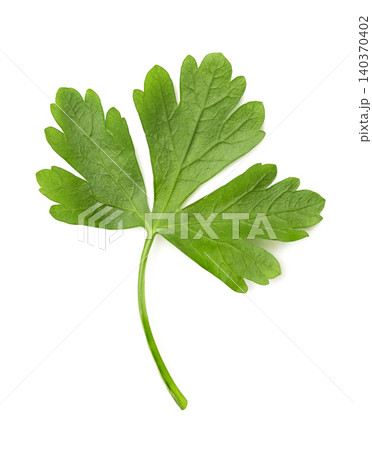 Fresh parsley leaf isolated on a white. Top view 140370402