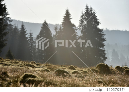 Morning mist in a mountain meadow Morning mist in a mountain meadow 140370574