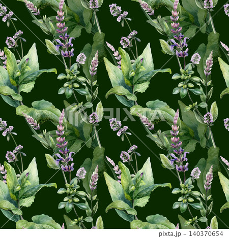 Sage and thyme mix seamless pattern watercolor illustration on dark background. Herbs blend for premium men grooming packaging, organic cosmetics branding, luxury healing elixir bottle print Sage and thyme mix seamless pattern watercolor illustration on dark background. Herbs blend for premium men grooming packaging, organic cosmetics branding, luxury healing elixir bottle print 140370654