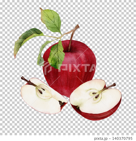 Watercolor red apple with green leaves and two sliced halves showing seeds Watercolor red apple with green leaves and two sliced halves showing seeds 140370795