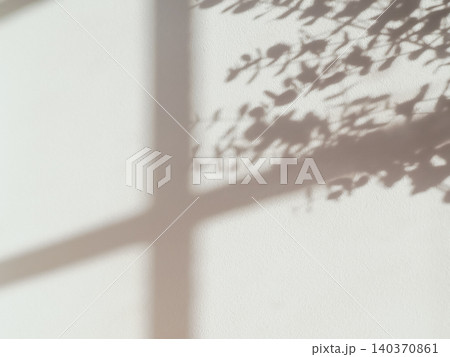 白い壁に映る植物のシルエット 140370861