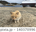 相島　野良猫 140370996