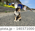 相島　野良猫 140371000