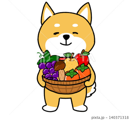 カゴいっぱいの秋の味覚をうれしそうに抱えるしばいぬ 140371318