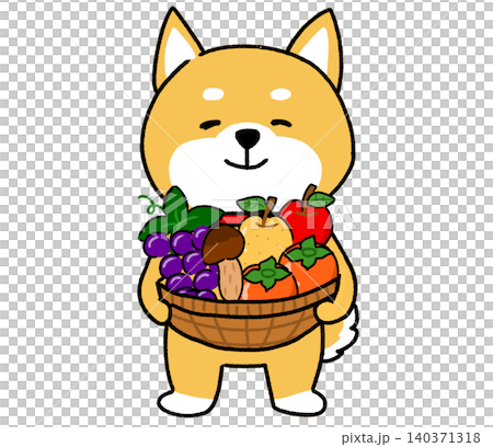 カゴいっぱいの秋の味覚をうれしそうに抱えるしばいぬ 140371318