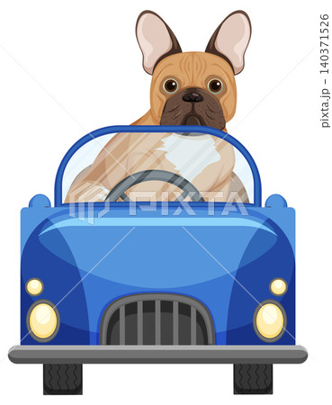 French Bulldog Driving Blue Convertible Car Illustration 140371526