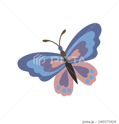 Beautiful fairytale insect vector illustration 140371929