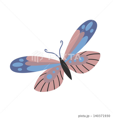Beautiful fairytale insect vector illustration Beautiful fairytale insect vector illustration 140371930
