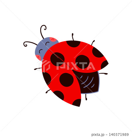 Beautiful fairytale insect vector illustration 140371989