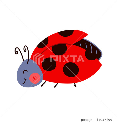 Beautiful fairytale insect vector illustration 140371991