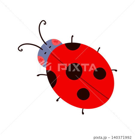 Beautiful fairytale insect vector illustration 140371992