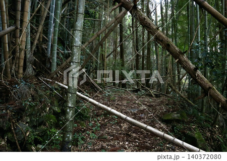 川原隧道への竹林の山道 140372080