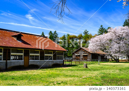牧場の桜風景 牧場の桜風景 140373161