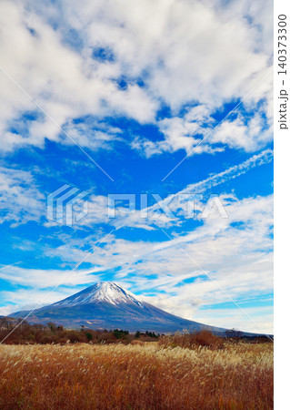 ススキ越しに見る朝霧の富士山 140373300