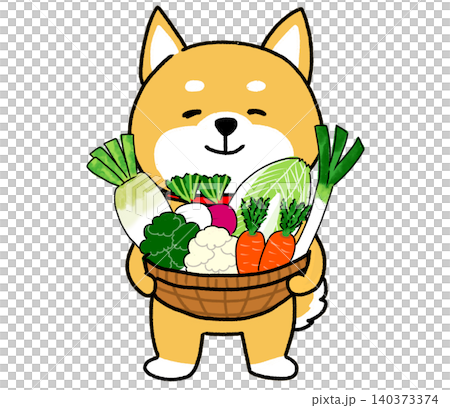 A Shiba Inu happily clutching a basket full of winter delicacies. A Shiba Inu happily clutching a basket full of winter delicacies. 140373374