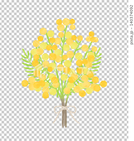 水彩風格的含羞草花束插圖 水彩風格的含羞草花束插圖 140374092
