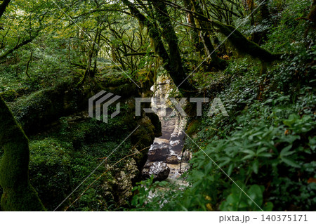 Martvili Canyon in Georgia surrounded by grass and mossy trees Martvili Canyon in Georgia surrounded by grass and mossy trees 140375171