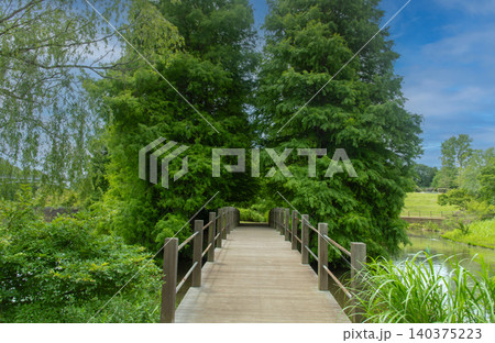 アンデルセン公園内の新緑に囲まれた木道の橋と美しい水辺の風景 140375223
