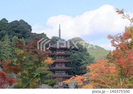 美しい紅葉に囲まれる五重塔 美しい紅葉に囲まれる五重塔 140375500