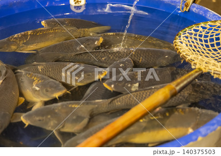 Live carp fish for sale in Prague Live carp fish for sale in Prague 140375503