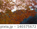 燃えるような紅葉 140375672
