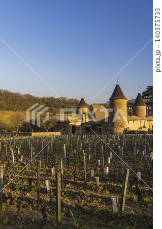 Chateau de Pierreclos overlooking vineyard in Bourgogne Franche Comte, France Chateau de Pierreclos overlooking vineyard in Bourgogne Franche Comte, France 140375733