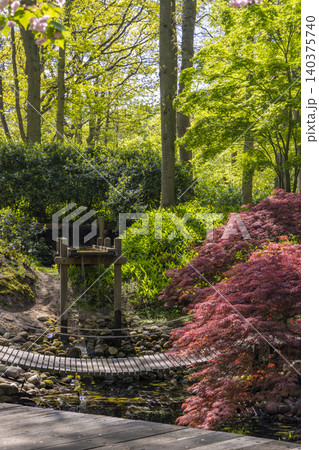 Serene Japanese garden with a small waterfall, stream, and vibrant red foliage 140375740