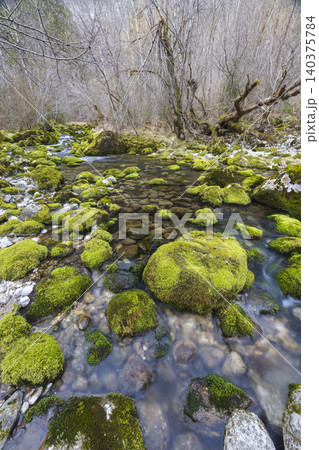 Mountain stream flowing over mossy rocks in Slovenian nature 140375784