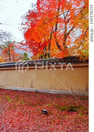 京都 宝厳院の紅葉 京都 宝厳院の紅葉 140376155