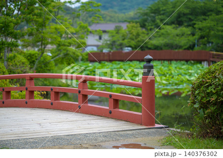 初夏の日本庭園と蓮池に架かる朱塗りの太鼓橋 初夏の日本庭園と蓮池に架かる朱塗りの太鼓橋 140376302