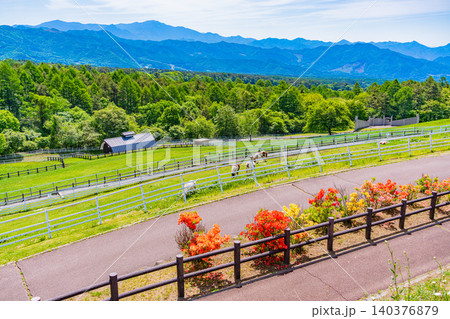 【山梨県】山梨県立まきば公園から富士山を望む 【山梨県】山梨県立まきば公園から富士山を望む 140376879