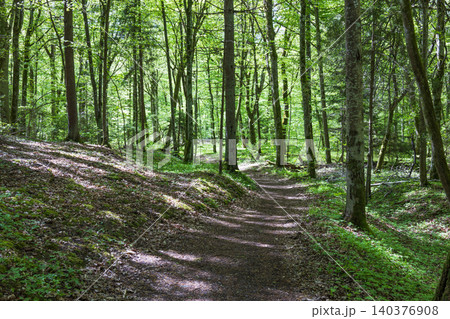 Serene nature trail leading into a deep green forest with dappled sunlight filtering through leaves Serene nature trail leading into a deep green forest with dappled sunlight filtering through leaves 140376908