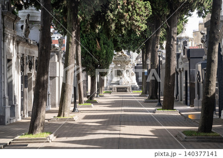 La Recoleta Cemetery Alley with Pines and Monumental Tomb 140377141