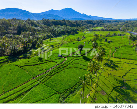 Beautiful morning view in Indonesia, panoramic landscape of rice fields with mountain ranges and clear sky Beautiful morning view in Indonesia, panoramic landscape of rice fields with mountain ranges and clear sky 140377342
