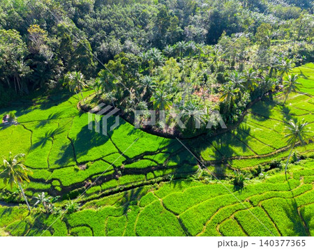 Beautiful morning view in Indonesia, panoramic landscape of rice fields with mountain ranges and clear sky Beautiful morning view in Indonesia, panoramic landscape of rice fields with mountain ranges and clear sky 140377365