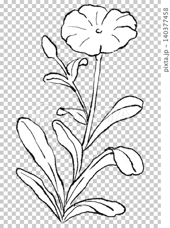 一幅手繪線條藝術插圖,描繪了盛開的水仙花。 一幅手繪線條藝術插圖,描繪了盛開的水仙花。 140377458