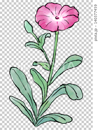 Hand-drawn line art and watercolor illustration of blooming narcissus flowers Hand-drawn line art and watercolor illustration of blooming narcissus flowers 140377459