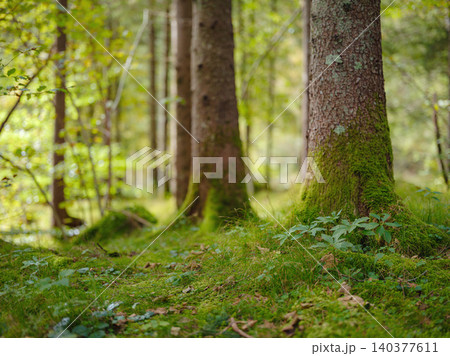 Europe summer travel to Slovenian Alps Europe summer travel to Slovenian Alps 140377611