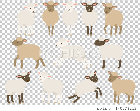 A set of illustrations of lambs in various fur colors and poses. A set of illustrations of lambs in various fur colors and poses. 140378213