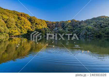 御前崎市の桜ヶ池の風景(静岡県) 御前崎市の桜ヶ池の風景(静岡県) 140381020
