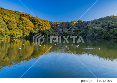 御前崎市の桜ヶ池の風景(静岡県) 御前崎市の桜ヶ池の風景(静岡県) 140381051