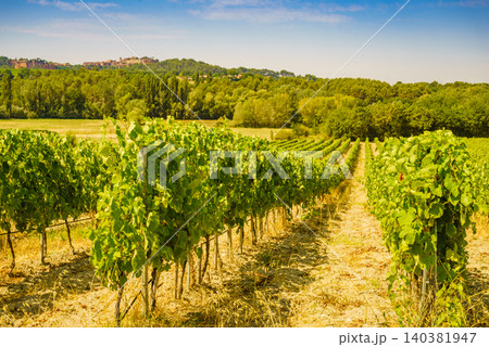 Vineyards and Roussillon on horizon. Vaucluse department of the Provence-Alpes-Cote d'Azur in France. Vineyards and Roussillon on horizon. Vaucluse department of the Provence-Alpes-Cote d'Azur in France. 140381947