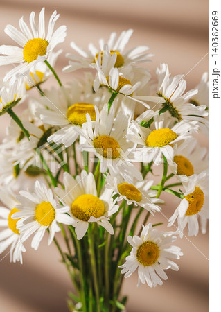 Daisy bouquet in warm sunlight, natural floral background Daisy bouquet in warm sunlight, natural floral background 140382669
