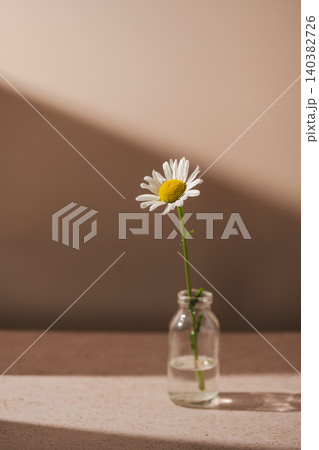 Single daisy in glass bottle with sunlight shadow, minimalist wellness concept Single daisy in glass bottle with sunlight shadow, minimalist wellness concept 140382726