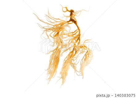 Dried sea moss natural organic healthy superfood ingredient Dried sea moss natural organic healthy superfood ingredient 140383075