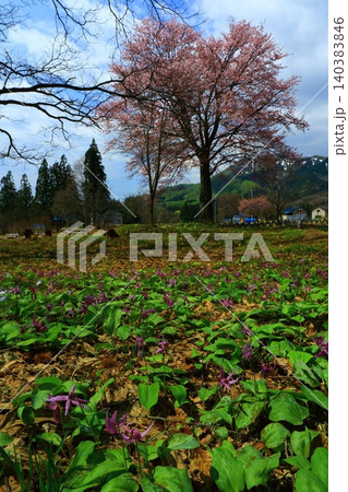 桜のある風景 桜のある風景 140383846